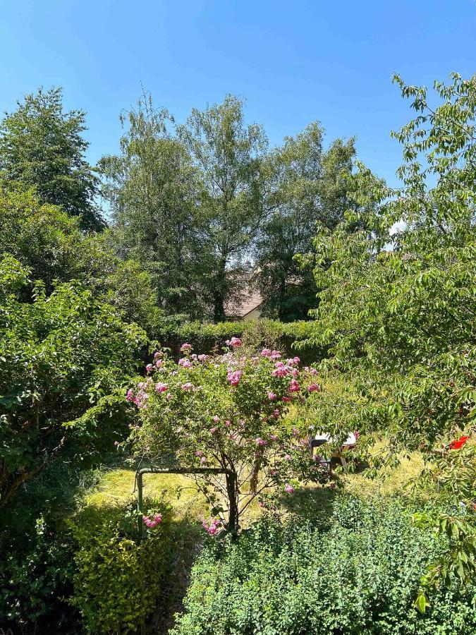 Appart'Hotel Le Jaures - Jardin Prive Et Netflix Belfort Exterior photo